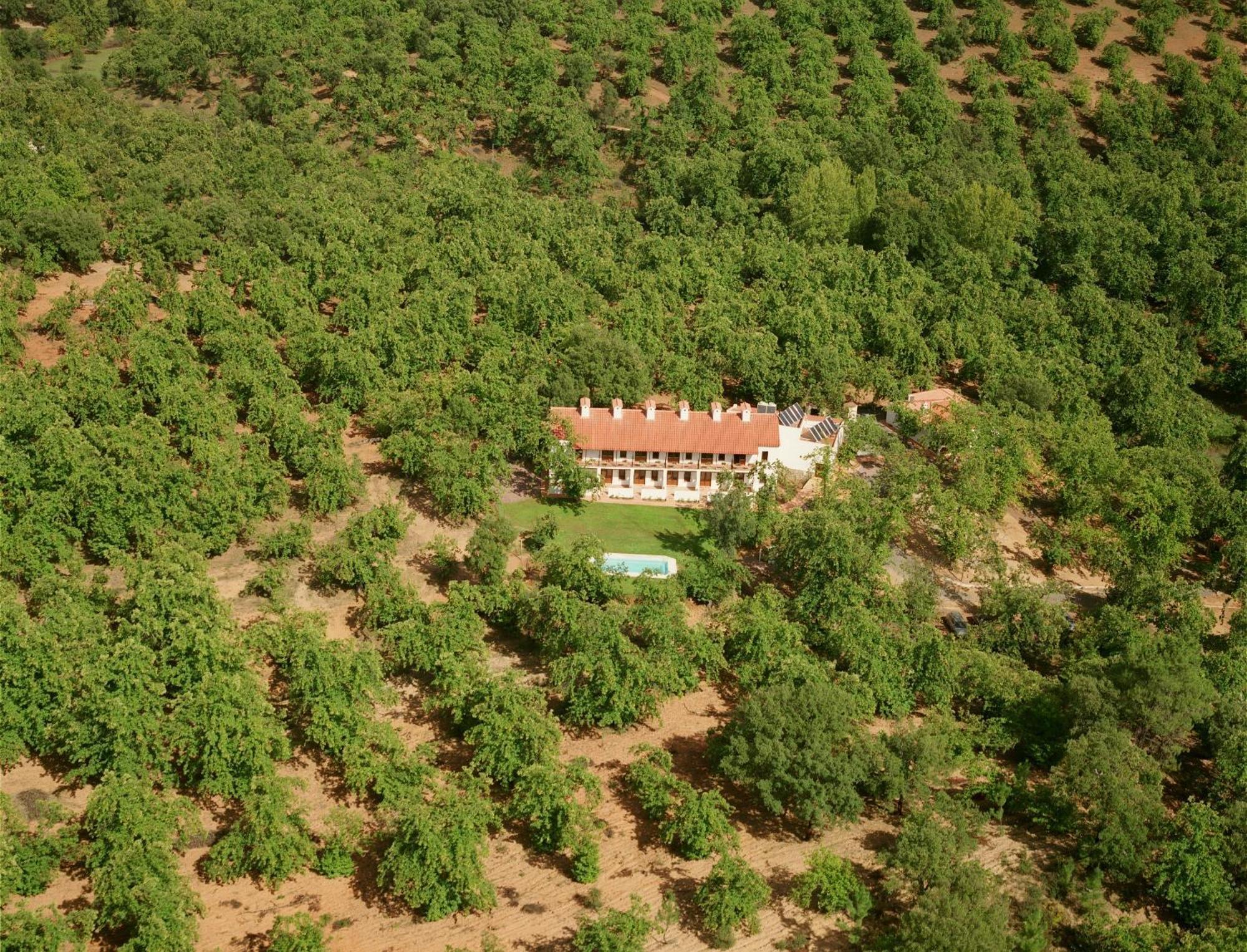 Hotel Apartamento Rural Finca La Media Legua Αραθένα Εξωτερικό φωτογραφία